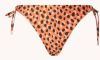 Beachlife Leopard Spots bikinislip met panterprint online kopen