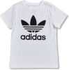 Adidas Trefoil Tee basisschool T Shirts White Katoen Canvas online kopen