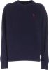 Ralph Lauren Sweatshirt miinto 33b59df6635b8285011aa , Blauw, Heren online kopen