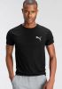 PUMA Evostripe T Shirt Zwart online kopen