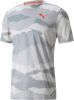 Puma sport T shirt grijs/lichtgrijs online kopen