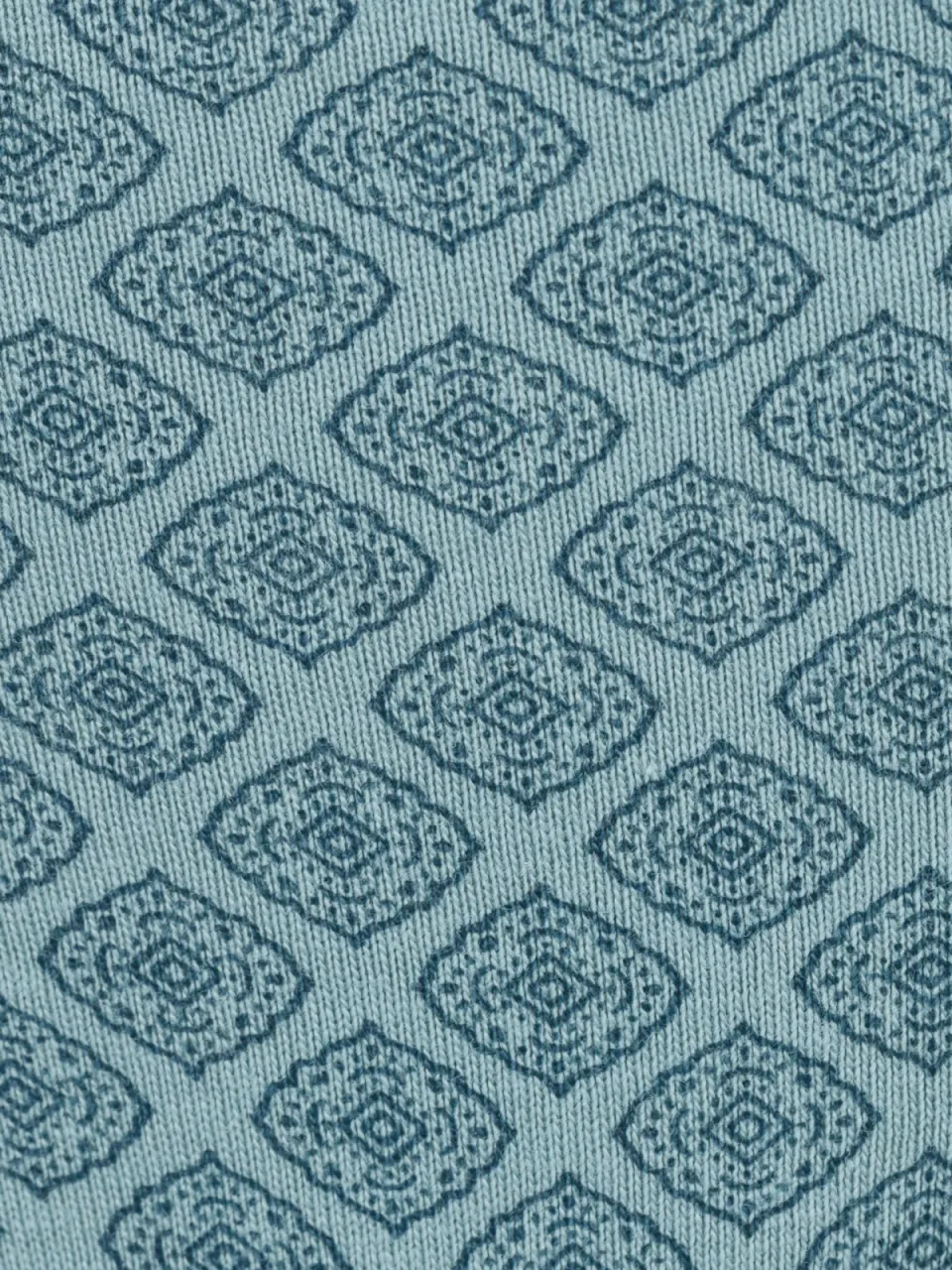 Brazilian slip mint, foto 3