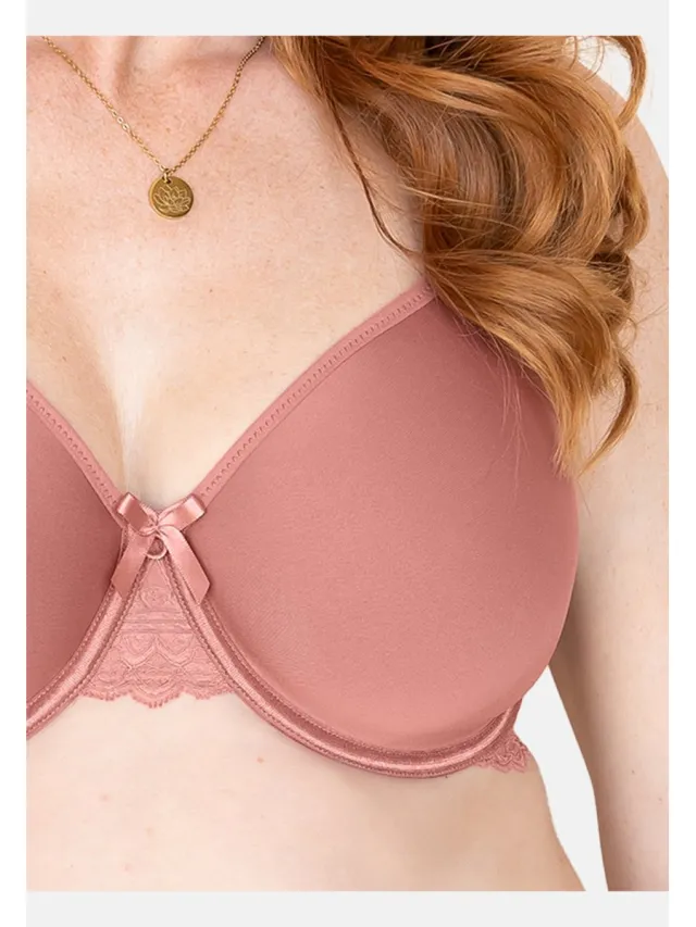SugarShape bh LUCIA terra