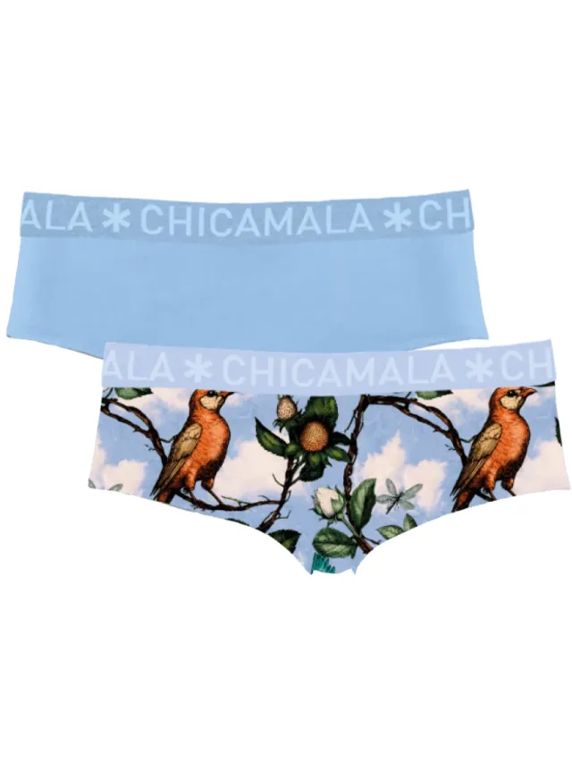 2-pack slips lichtblauw met vogelprint