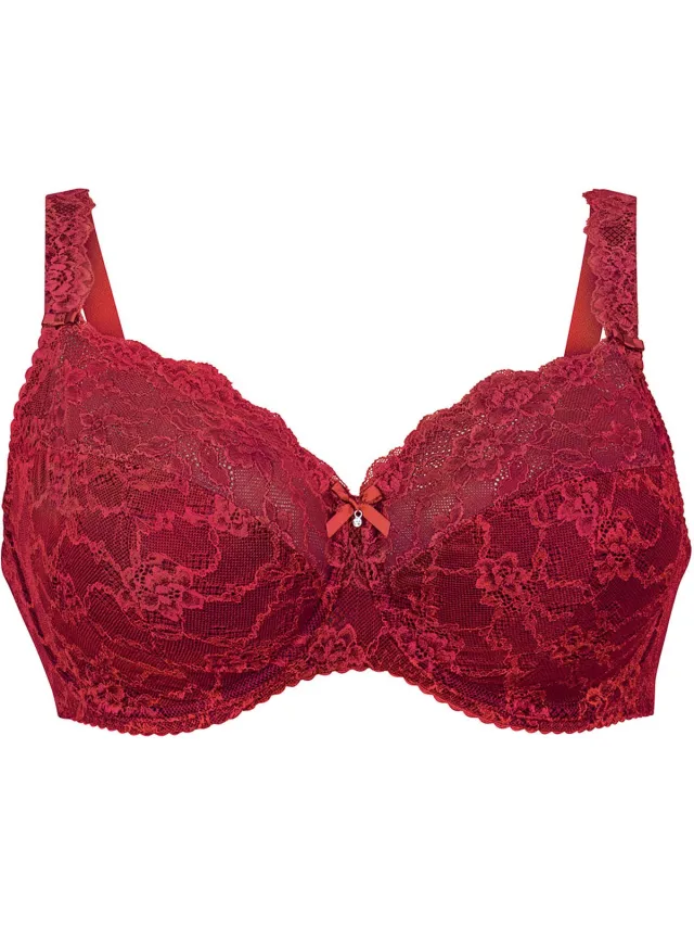 Rosa Faia Bh met beugel Rosa Faia bobette ruby Rood
