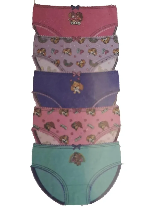 PAW Patrol Skye Slip-128 5 stuks Harde Kleuren